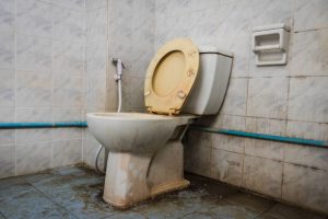 Penyebab toilet bau beserta solusinya